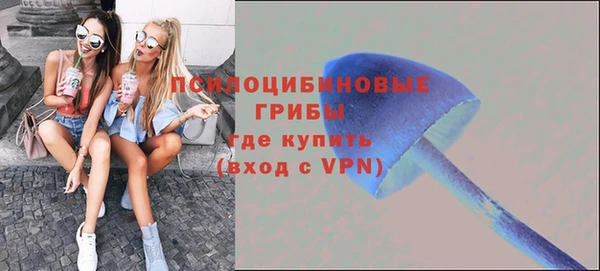 apvp Лабытнанги