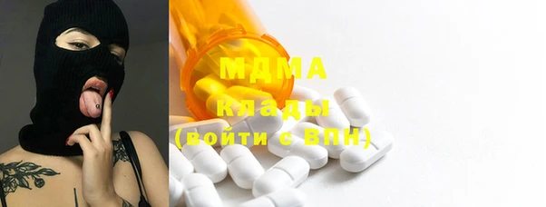 молекула духа Ладушкин