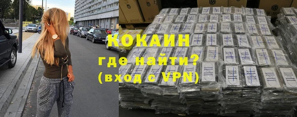 молекула духа Ладушкин