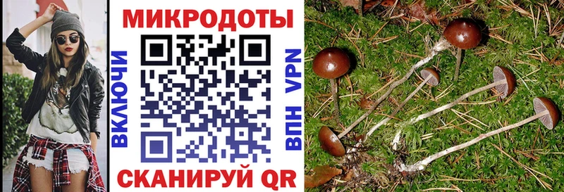 Галлюциногенные грибы мухоморы  мега сайт  Азнакаево 